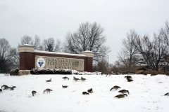 2013-february_8449977941_o