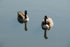 2013-march_8603552914_o