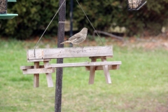 2020-march_49863258116_o