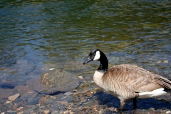 2008-april_2448490208_o