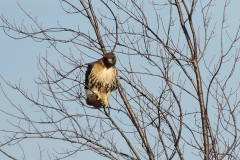 2013-march_8603451444_o