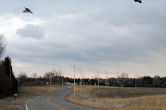 DSCN7067
